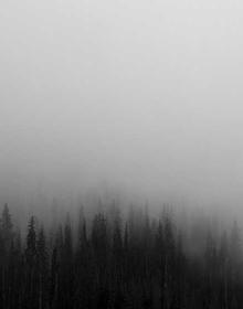 热血冒险 喵趣漫画